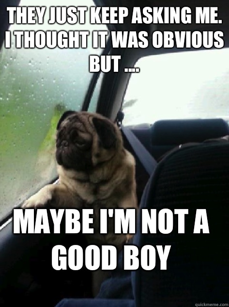 They just keep asking me. I thought it was obvious but .... Maybe I'm not a good boy - They just keep asking me. I thought it was obvious but .... Maybe I'm not a good boy  Introspective Pug