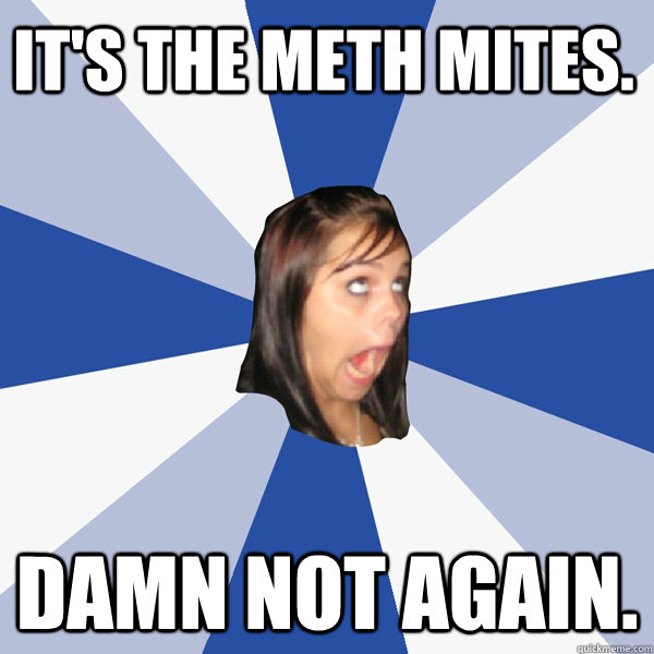 It's the meth mites. damn not again.  Annoying Facebook Girl