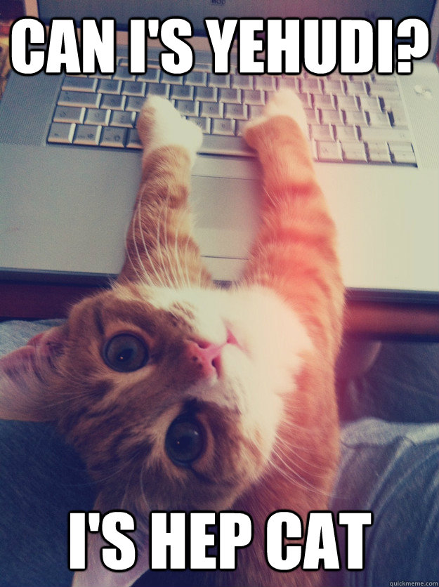 Can I's yehudi? I's hep cat  Programmer Cat
