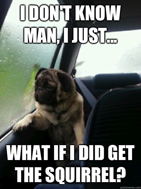 I don't know man, I just... What if I did get the squirrel? - I don't know man, I just... What if I did get the squirrel?  Introspective Pug