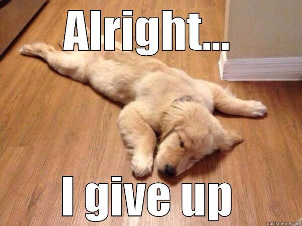 ALRIGHT... I GIVE UP Misc