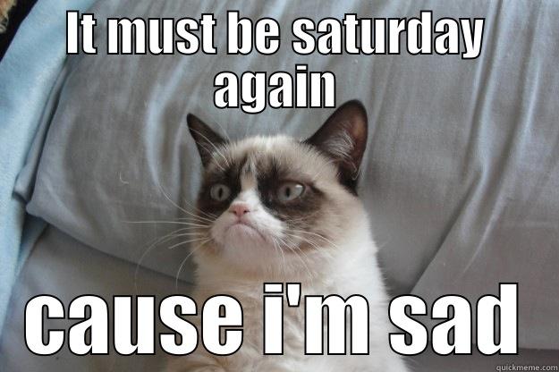 IT MUST BE SATURDAY AGAIN CAUSE I'M SAD Grumpy Cat