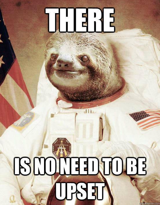 There is no need to be upset - There is no need to be upset  Astronaut sloth