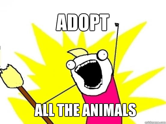 Adopt ALL the animals - Adopt ALL the animals  X All The Things