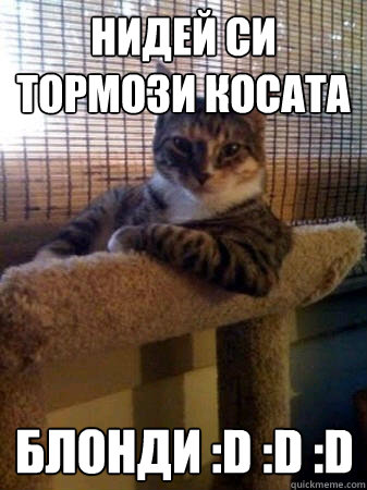 нидей си тормози косата блонди :D :D :D  The Most Interesting Cat in the World