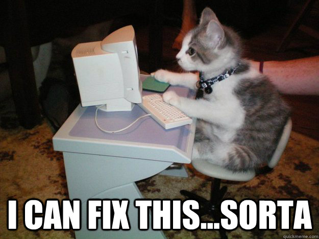  I can fix this...sorta -  I can fix this...sorta  cat computer