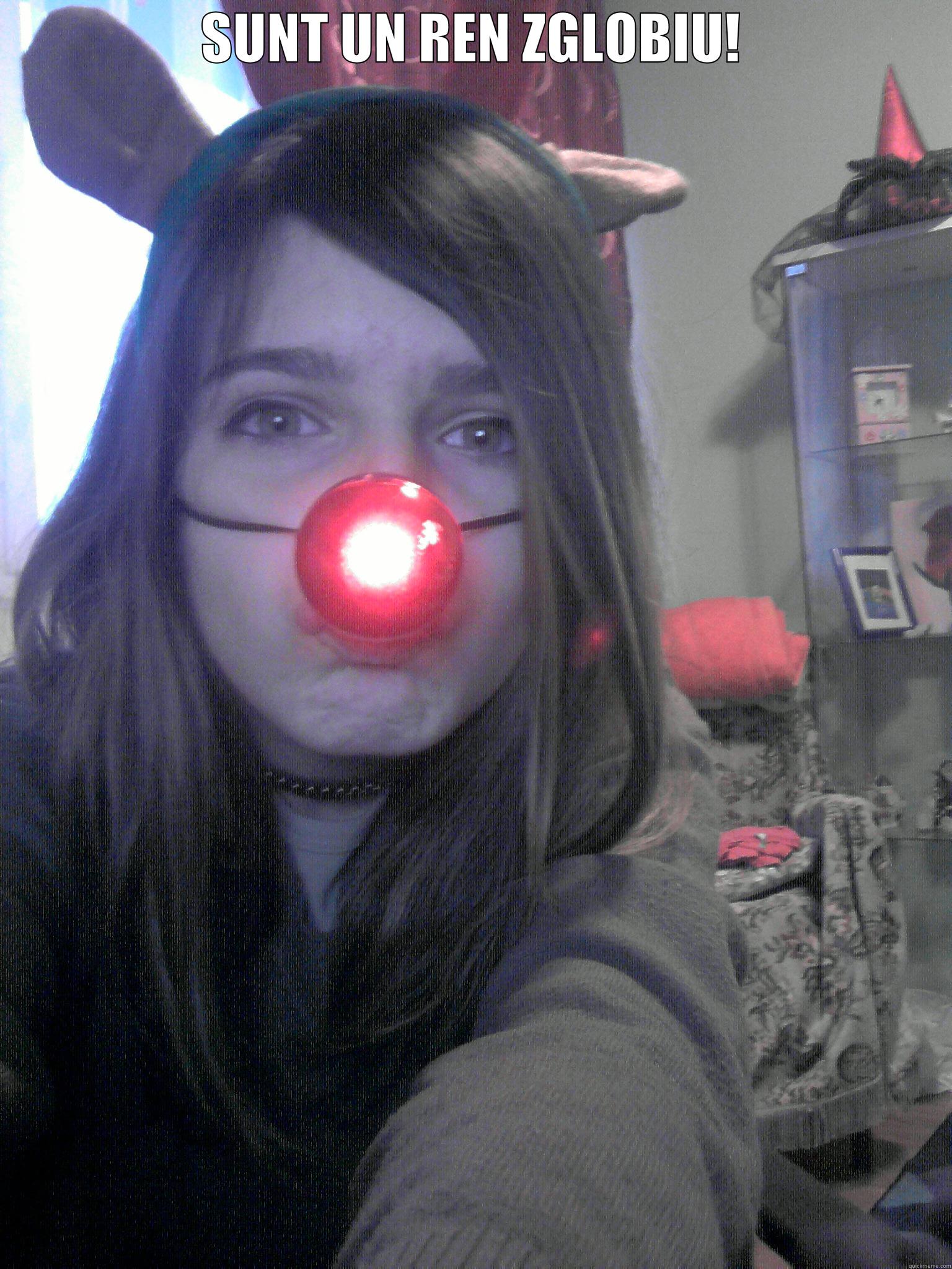 SUNT UN REN ZGLOBIU!  Socially Awkward Penguin