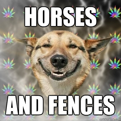 Horses and fences  Stoner Dog