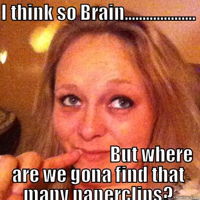 I THINK SO BRAIN....................                                                                                                                                                                                                                             Misc