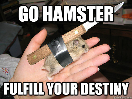 Go hamster fulfill your destiny  knife hamster