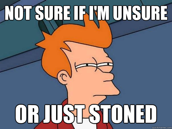 not sure if I'm unsure Or just stoned  Futurama Fry