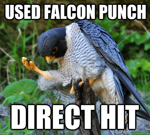 used falcon punch direct hit  