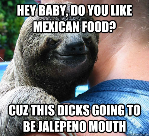 Hey baby, do you like mexican food? Cuz this dicks going to be jalepeno mouth  Suspiciously Evil Sloth