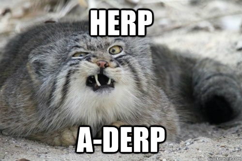 herp a-derp - herp a-derp  Derp Cat