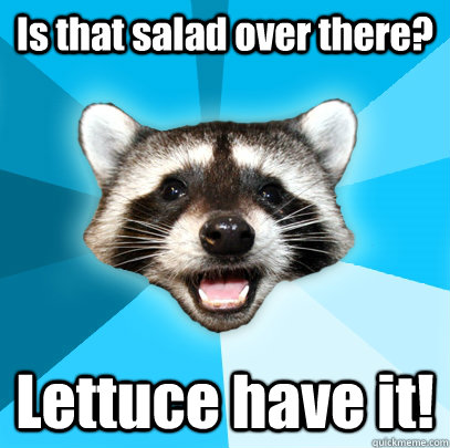 Is that salad over there? Lettuce have it!  Lame Pun Coon