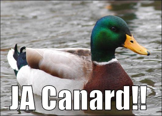  JA CANARD!! Actual Advice Mallard