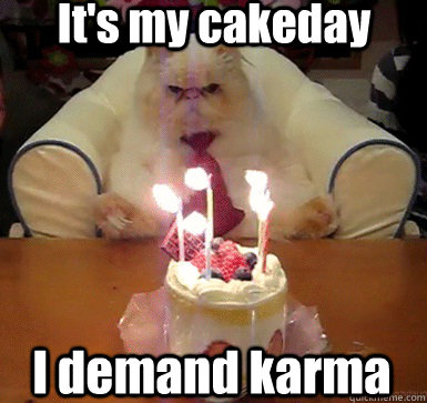It's my cakeday I demand karma  Cake Day Cat