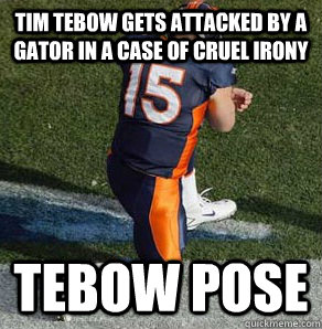 Tim tebow gets attacked by a gator in a case of cruel irony Tebow Pose  Tebowing
