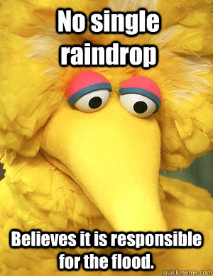 No single raindrop Believes it is responsible for the flood.   - No single raindrop Believes it is responsible for the flood.    Big Bird