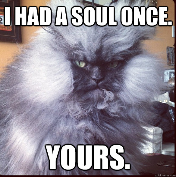 i had a soul once. yours. - i had a soul once. yours.  Evil Overlord Cat