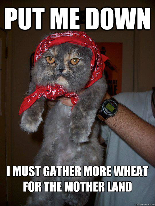 Put me down I must gather more wheat for the mother land  