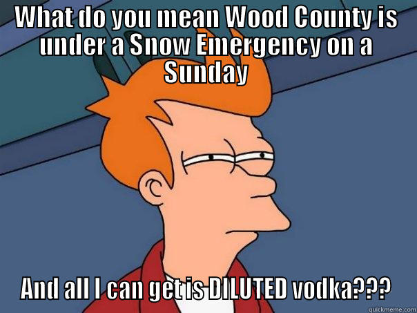 WHAT DO YOU MEAN WOOD COUNTY IS UNDER A SNOW EMERGENCY ON A SUNDAY AND ALL I CAN GET IS DILUTED VODKA??? Futurama Fry
