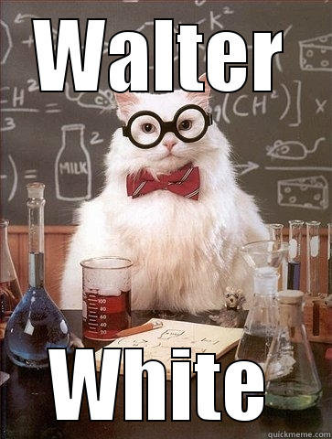 WALTER WHITE Chemistry Cat