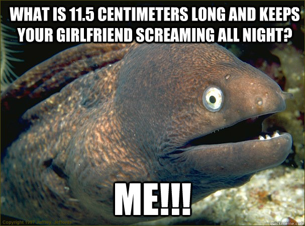 What is 11.5 centimeters long and keeps your girlfriend screaming all night? ME!!!  Bad Joke Eel