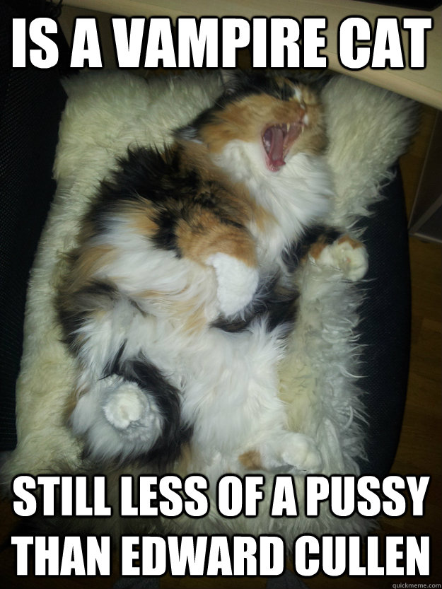 IS A VAMPIRE CAT STILL LESS OF A PUSSY THAN EDWARD CULLEN - IS A VAMPIRE CAT STILL LESS OF A PUSSY THAN EDWARD CULLEN  Vampire Cat