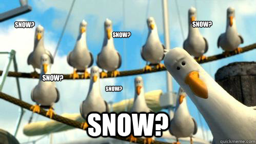 Snow? Snow? Snow? Snow? Snow? Snow?  Finding Nemo Seagulls