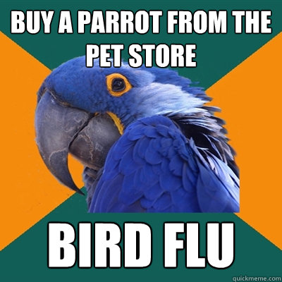 buy a parrot from the pet store bird flu  Paranoid Parrot