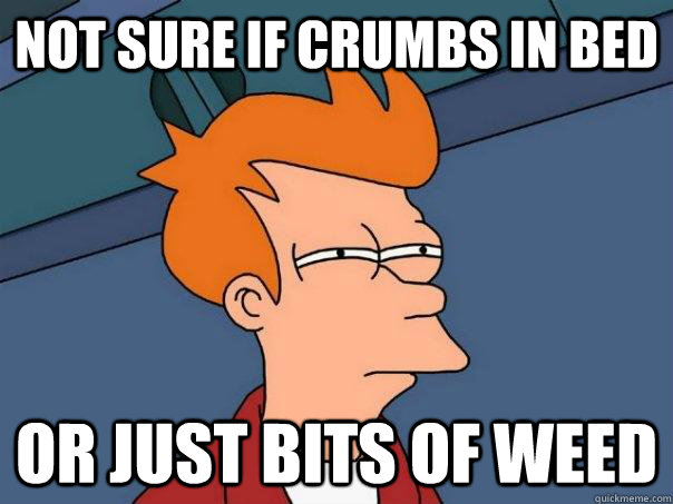Not sure if crumbs in bed or just bits of weed - Not sure if crumbs in bed or just bits of weed  Futurama Fry