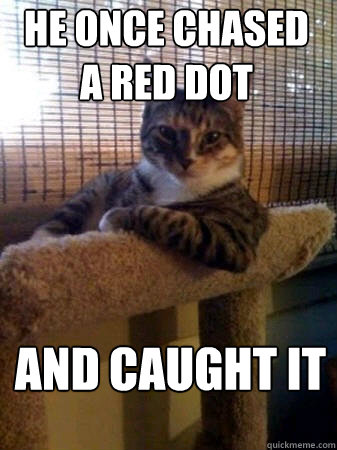 He once chased a red dot and caught it  The Most Interesting Cat in the World