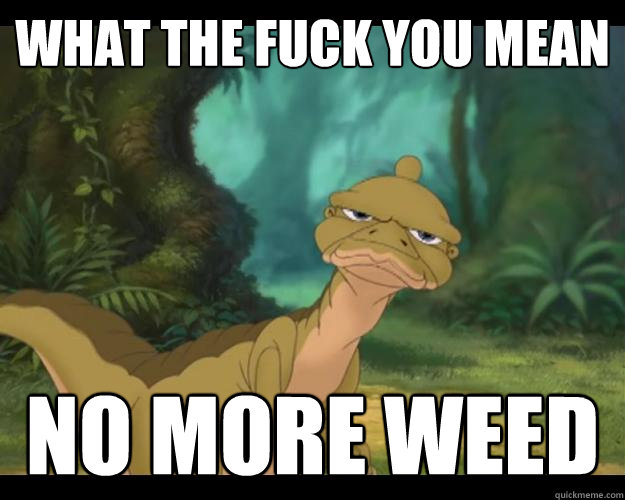What the fuck you mean No more weed - What the fuck you mean No more weed  Disappointed Ducky