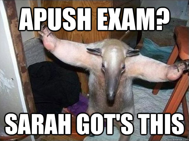 APUSh exam?  Sarah got's this  I got this