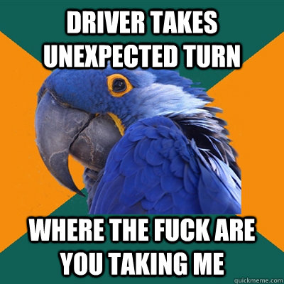 driver takes unexpected turn where the fuck are you taking me  Paranoid Parrot