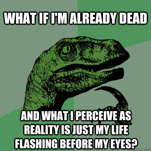 what if i'm already dead and what i perceive as reality is just my life flashing before my eyes?  - what if i'm already dead and what i perceive as reality is just my life flashing before my eyes?   Philosoraptor