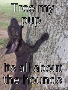 TREE MY PUP  ITS ALL ABOUT THE HOUNDS Misc