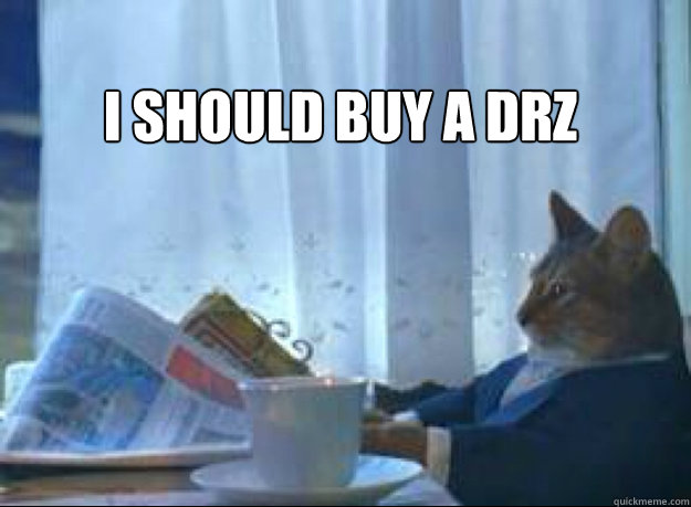 I should buy a DRZ   I should buy a boat cat
