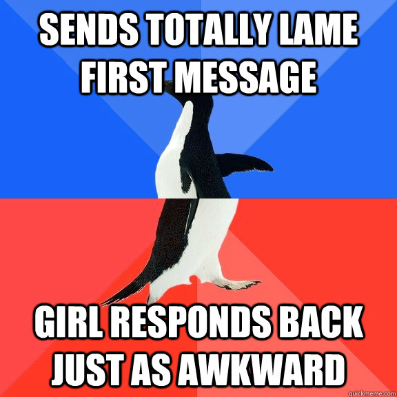 sends totally lame first message girl responds back just as awkward  Socially Awkward Awesome Penguin
