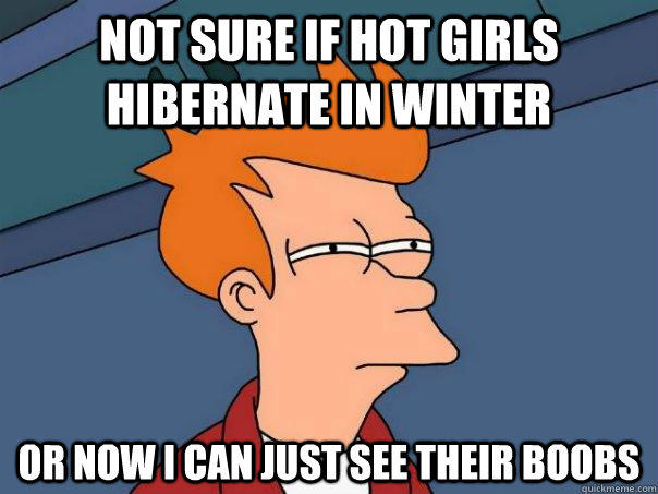 Not sure if hot girls hibernate in winter Or now I can just see their boobs  Futurama Fry
