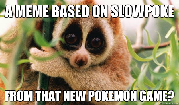 A meme based on slowpoke From that new pokemon game? - A meme based on slowpoke From that new pokemon game?  Slow Loris