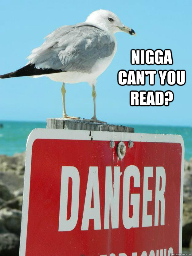 Nigga can't you read? - Nigga can't you read?  birdnigga