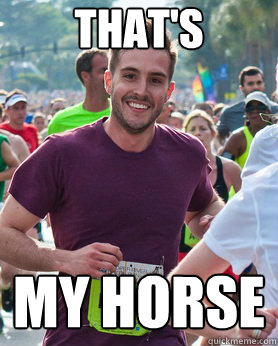 That's my horse  Ridiculously photogenic guy