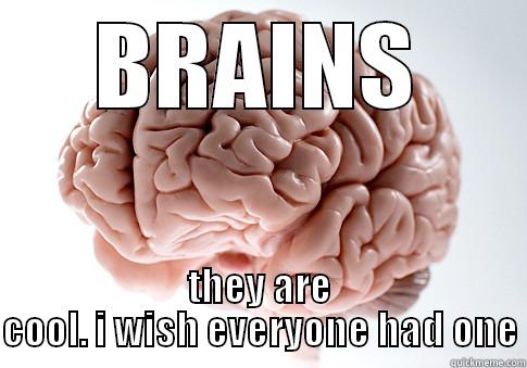 total memes :D - BRAINS THEY ARE COOL. I WISH EVERYONE HAD ONE Scumbag Brain