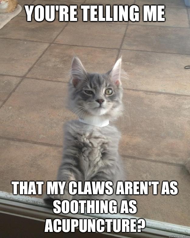 You're telling Me that my claws aren't as soothing as acupuncture?   