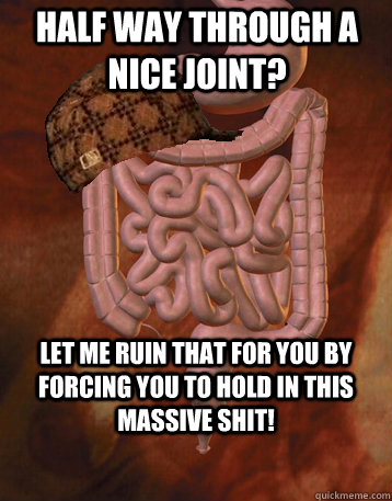 HALF WAY THROUGH A NICE JOINT? LET ME RUIN THAT FOR YOU BY FORCING YOU TO HOLD IN THIS MASSIVE SHIT!  Scumbag Bowels