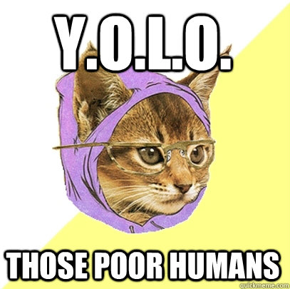 Y.O.L.O. Those Poor Humans  Hipster Kitty