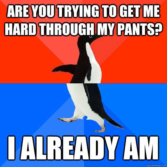 are you trying to get me hard through my pants? i already am  Socially Awesome Awkward Penguin