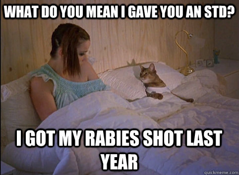 what do you mean i gave you an STD? i got my rabies shot last year - what do you mean i gave you an STD? i got my rabies shot last year  Morning After Cat